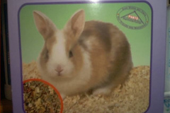 2001-12-08_geb_tina_49