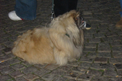 2003-05-24_powerali_attendorn_12